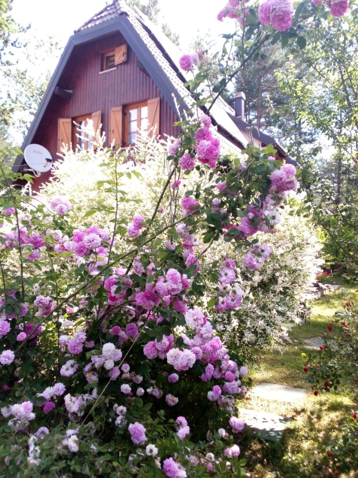 Plitvice Lakes Holiday Lodge Rudanovac Bagian luar foto